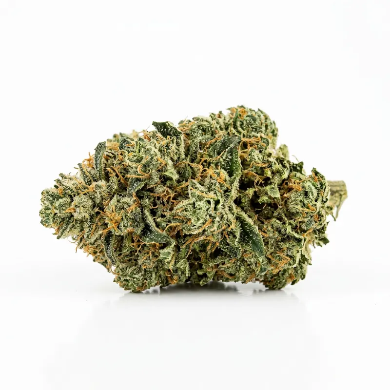 Atlantic Glue