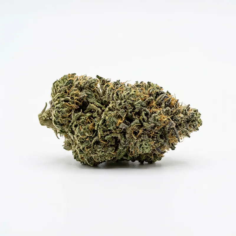 LIT 31/1 MKU Master Kush