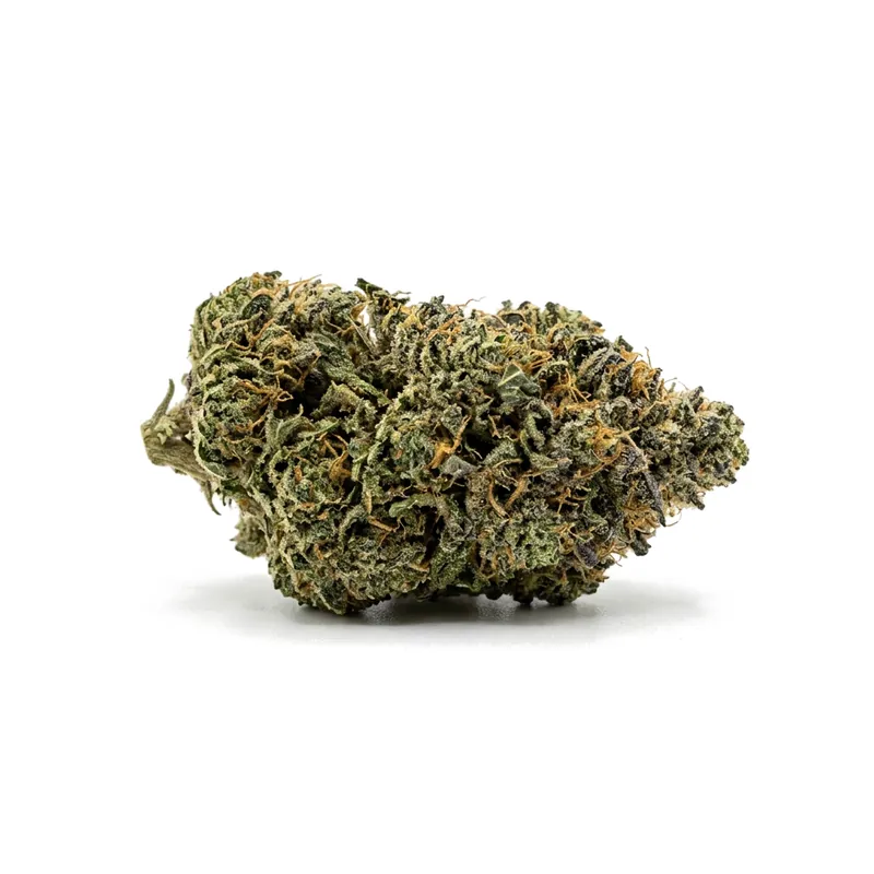 TETRA THC27 BCP Black Cherry Punch