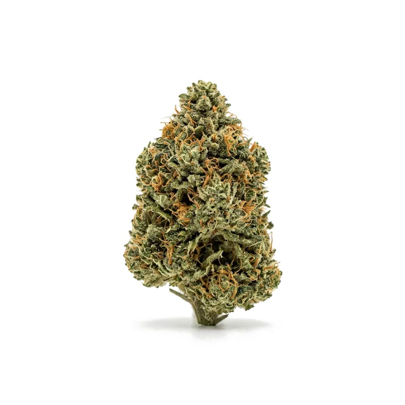 Canify Cannabis flos 18/1 CO Ku. MAC