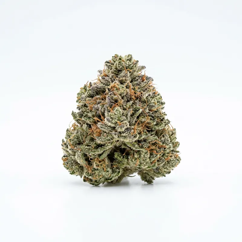 enua 33/1 MMN CA Marshmallow Man