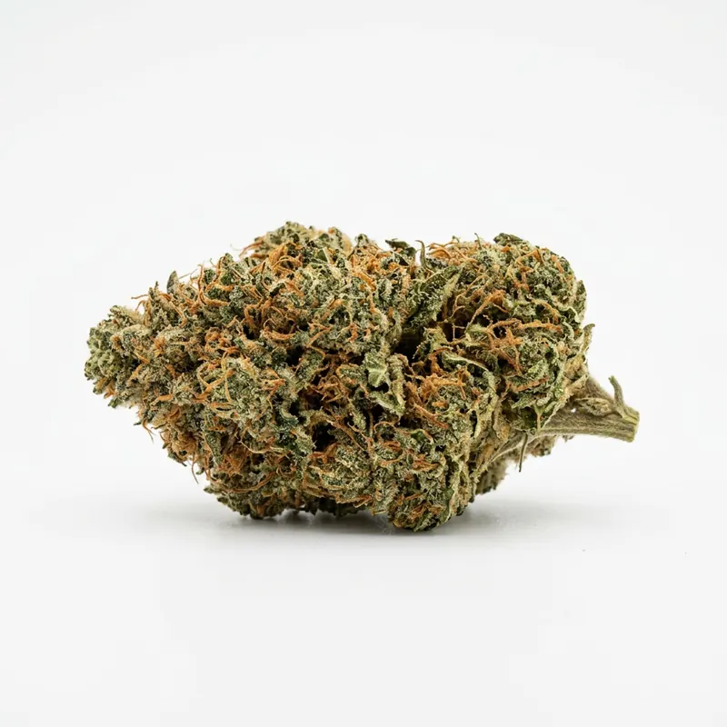 Cannamedical Hybrid Forte MAC 1