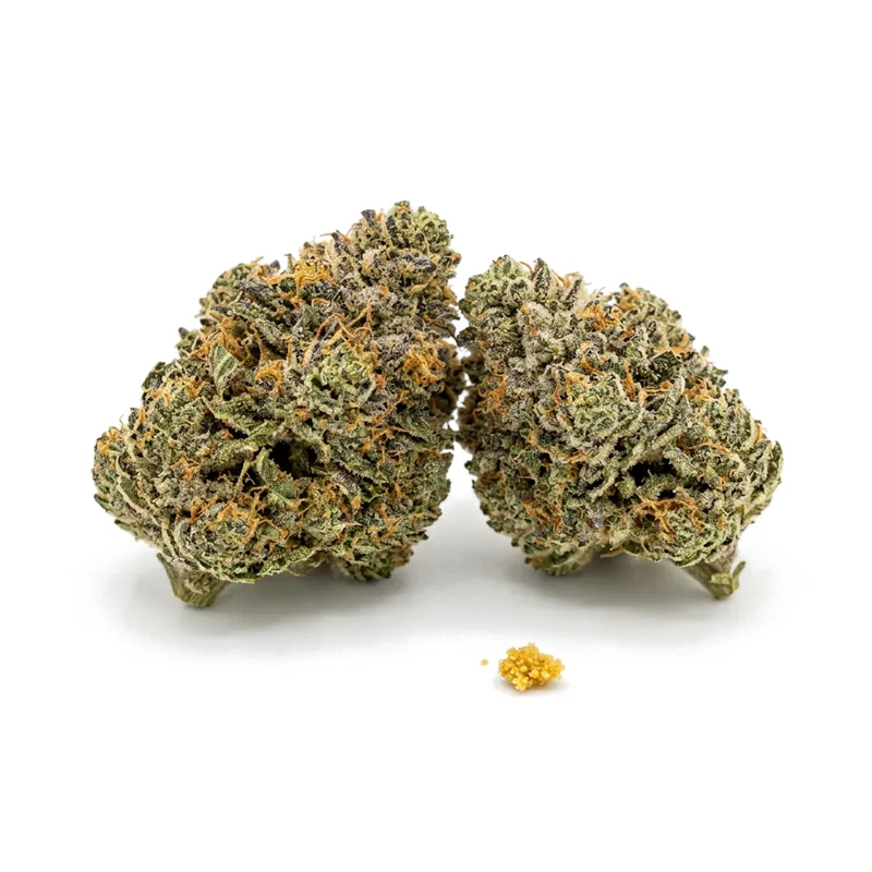 GrowMotion CJ 28/1 Cap Junky