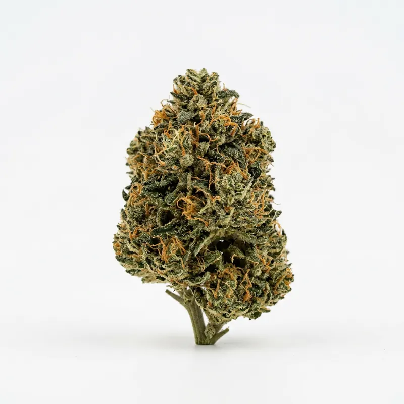 Weeco 1A 16/1 WW White Widow