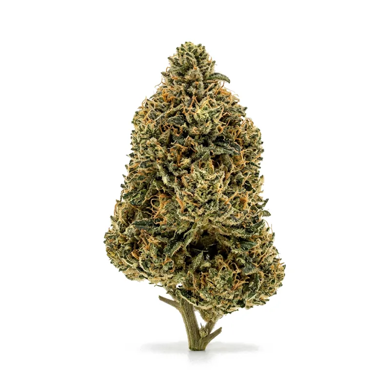 Canify Cannabis flos 18/1 CO Ku. MAC