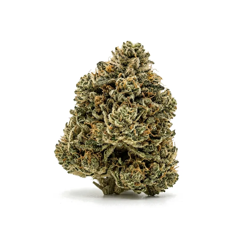AMP ACT CAN Thc20 Candy