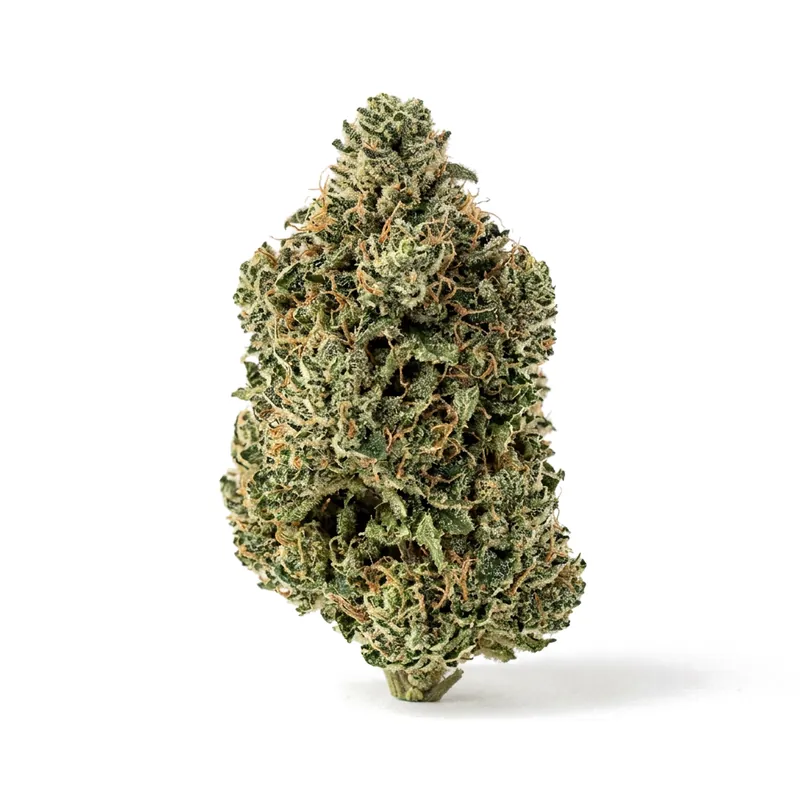 Canify Cannabis flos 18/1 CO Ku. MAC