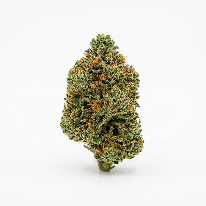 BC Green 33/1 Tiger Cake