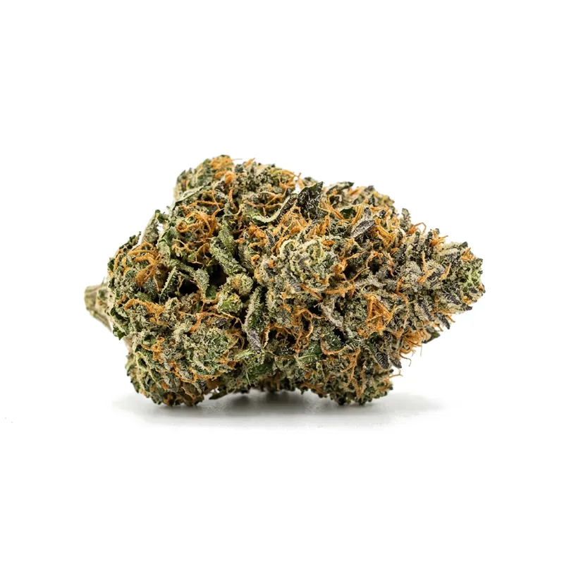 TETRA THC22 Purple Rain