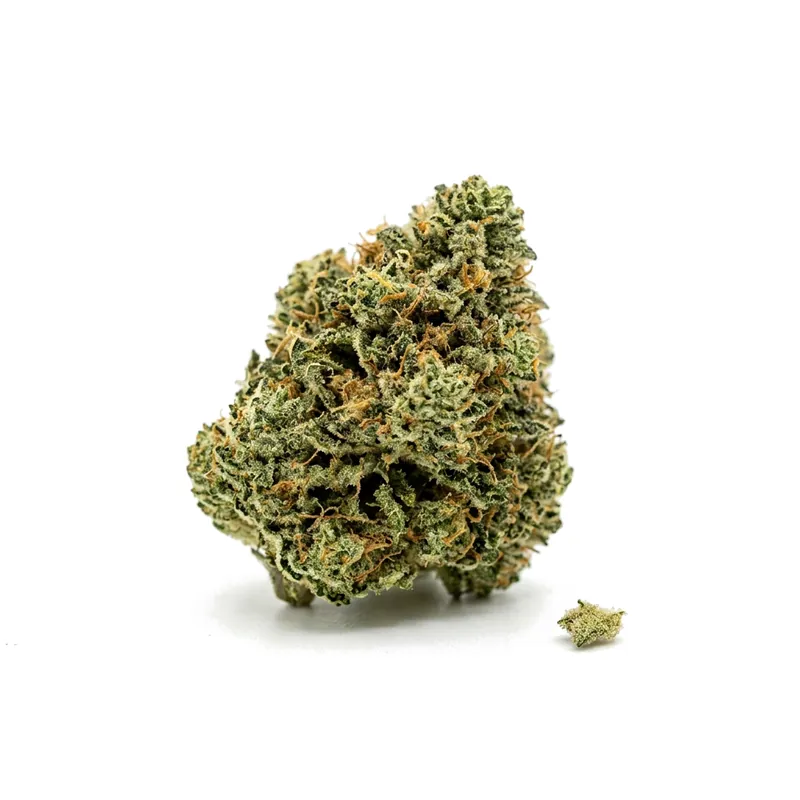 TETRA THC22 Purple Rain
