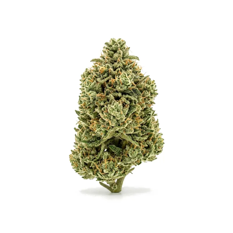 TETRA THC22 Pink Diesel