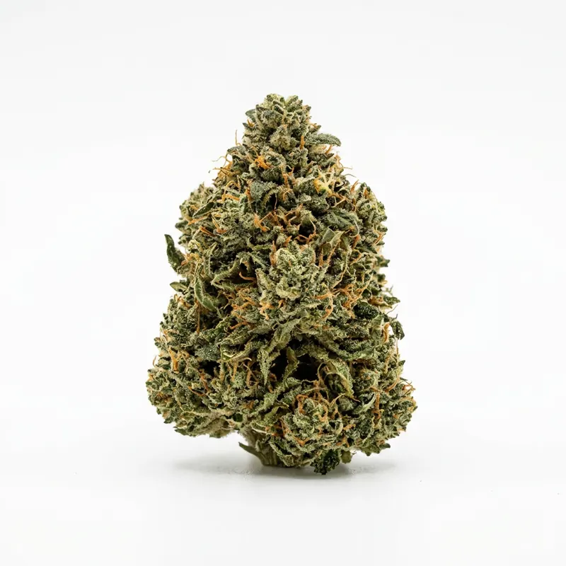 Amici 28/1 CM Cereal Milk