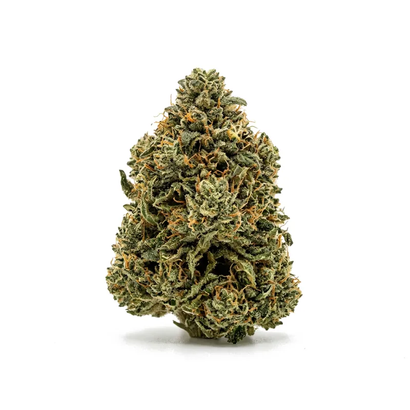 Tetra Thc27 BCP Black Cherry Punch