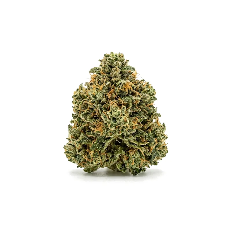 GrowMotion CJ 28/1 Cap Junky