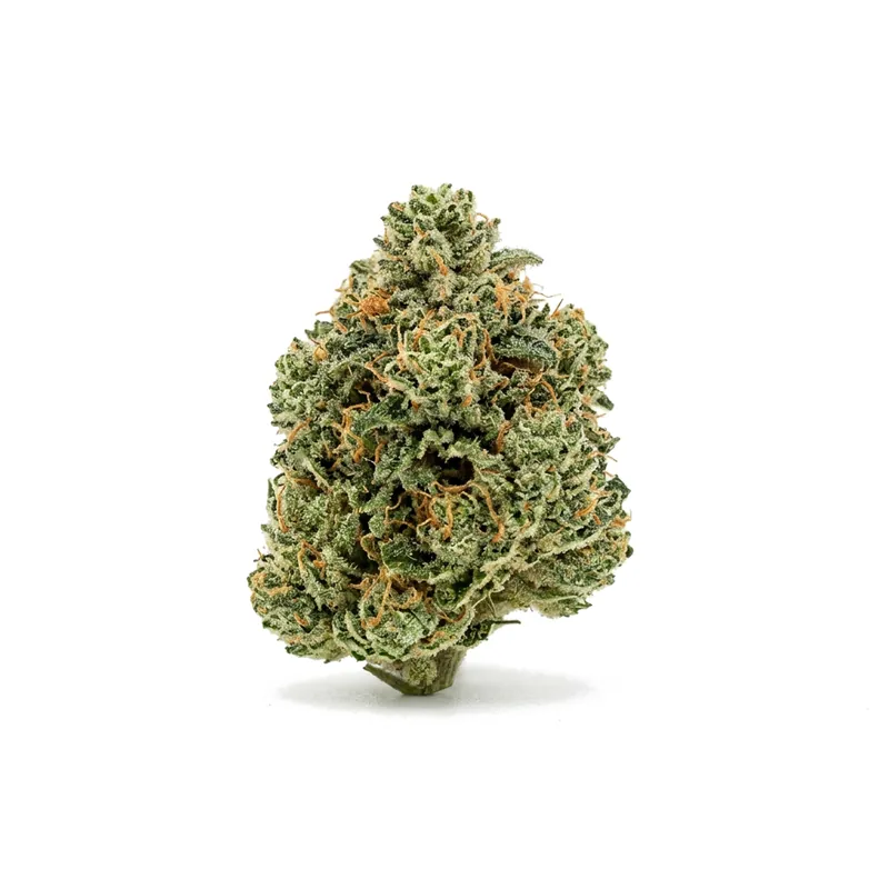 Hexa 21/1 GEL Gelato 33