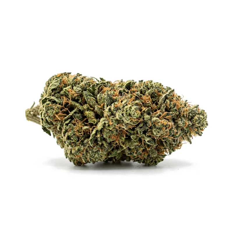 Hexa 21/1 GEL Gelato 33