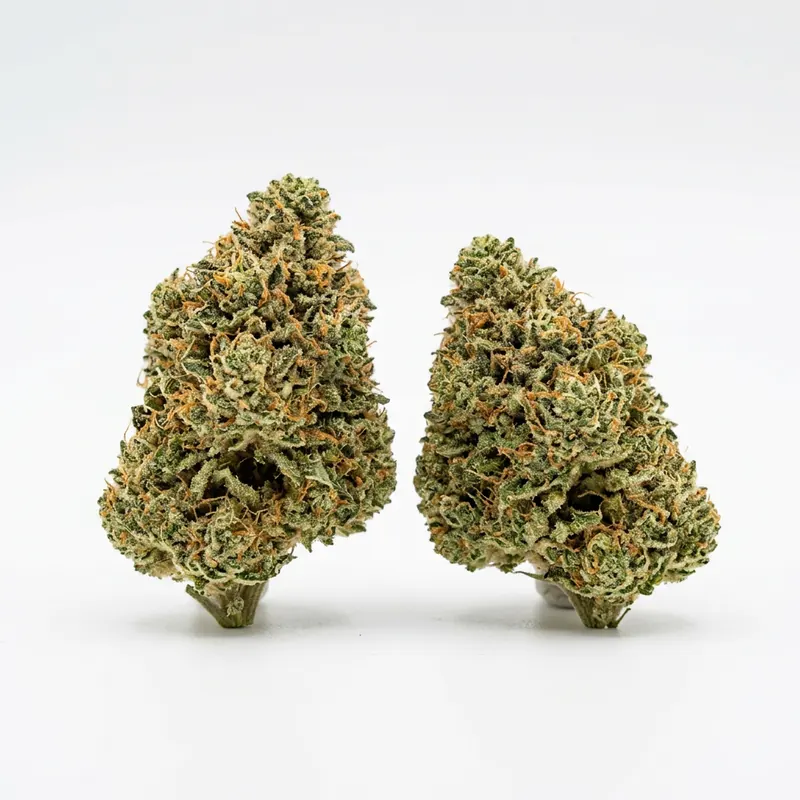 AMP ZEN MAW THC22 Maui Wowie