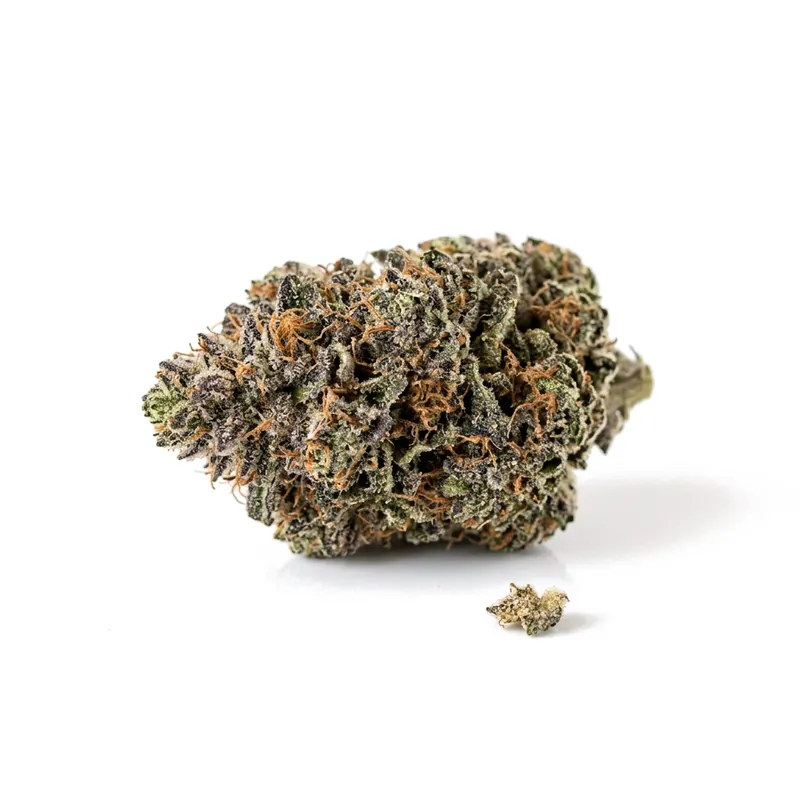 Care MW Thc22 Maui Wauwi