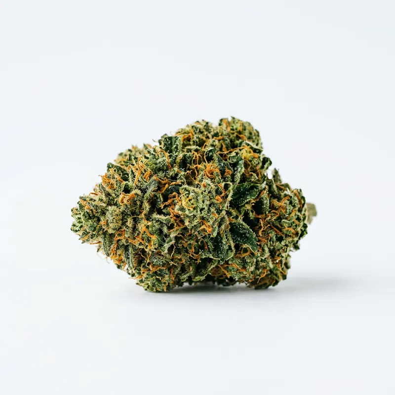 Social Choice! 18/1 MCP GMO Cookies