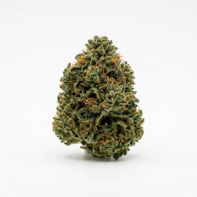 Cookies 22/1 MD Medellin