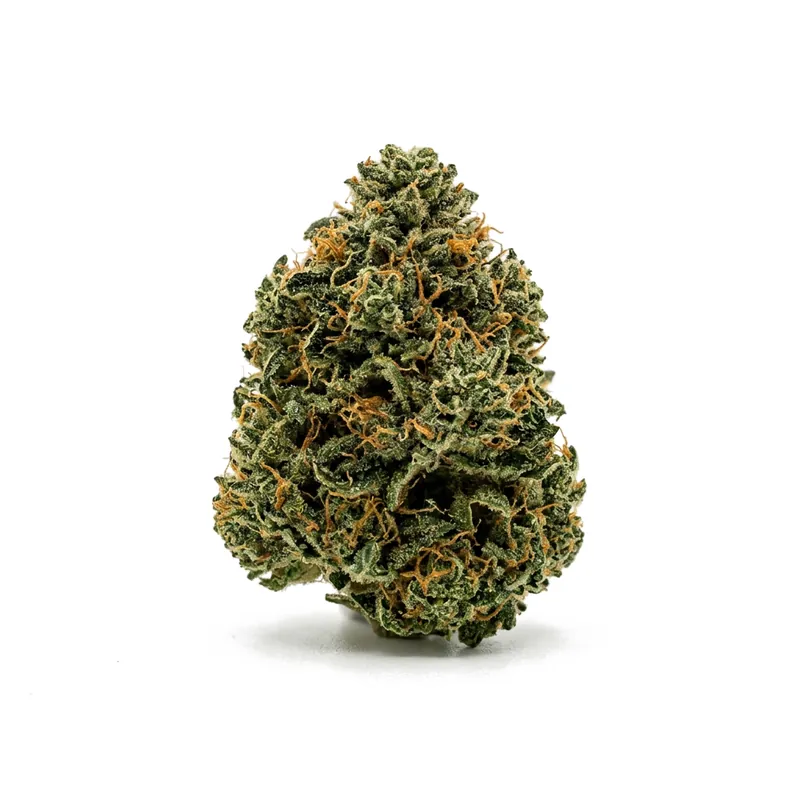 TETRA THC22 Sugar Cake