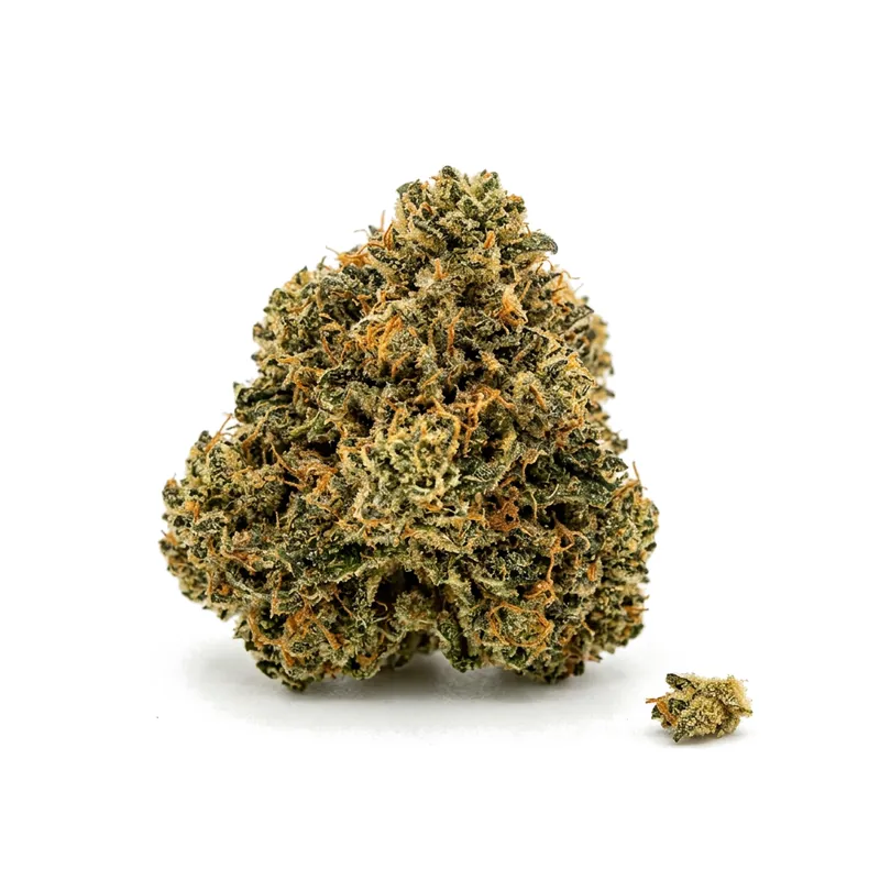 Tetra Thc27 BCP Black Cherry Punch
