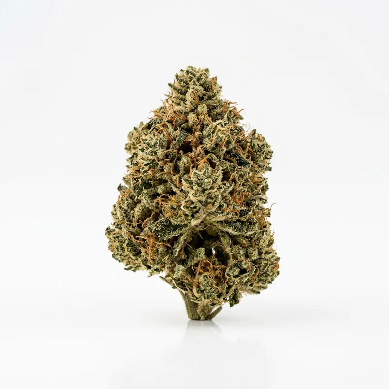 Pink Kush