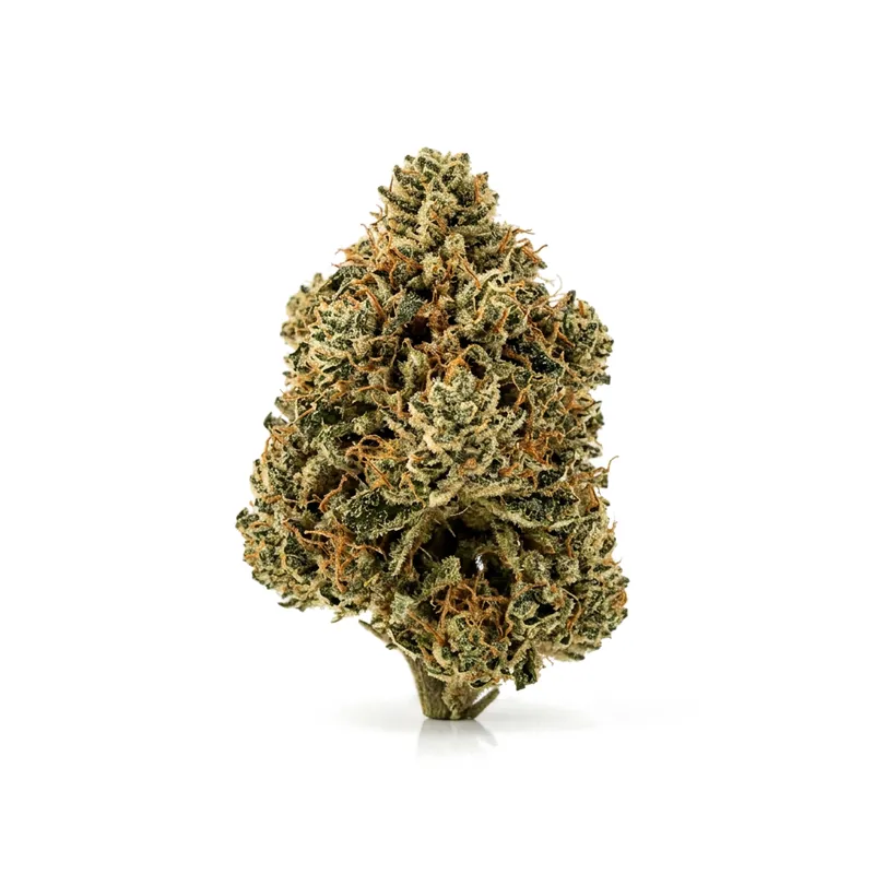 Canify Cannabis flos 18/1 CO Ku. MAC