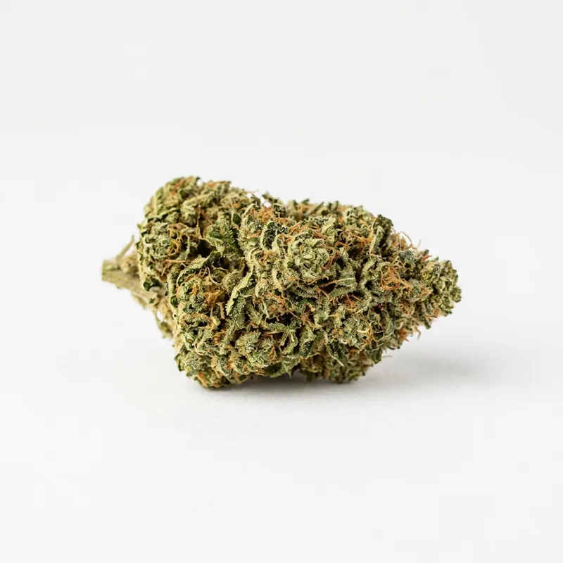 avaay 24/1 SK Sour Kush