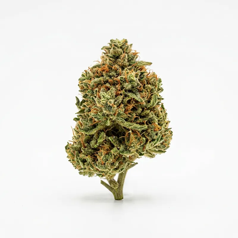 Canify Cannabis Flos 16/1 CL Ku. Herer Widow