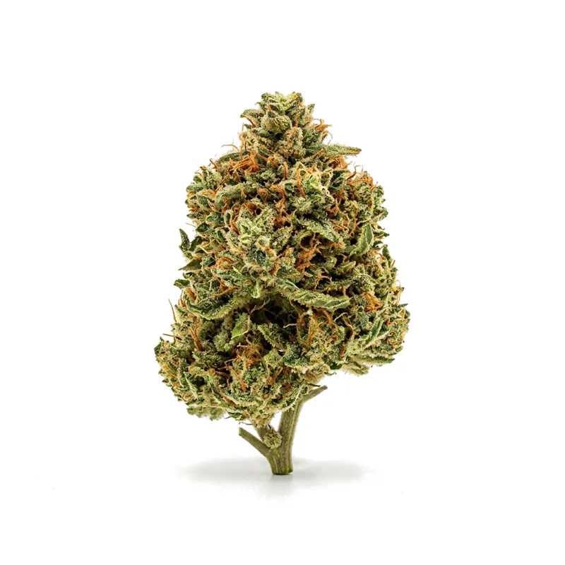 Truu CG 26/1 SFV Chem OG