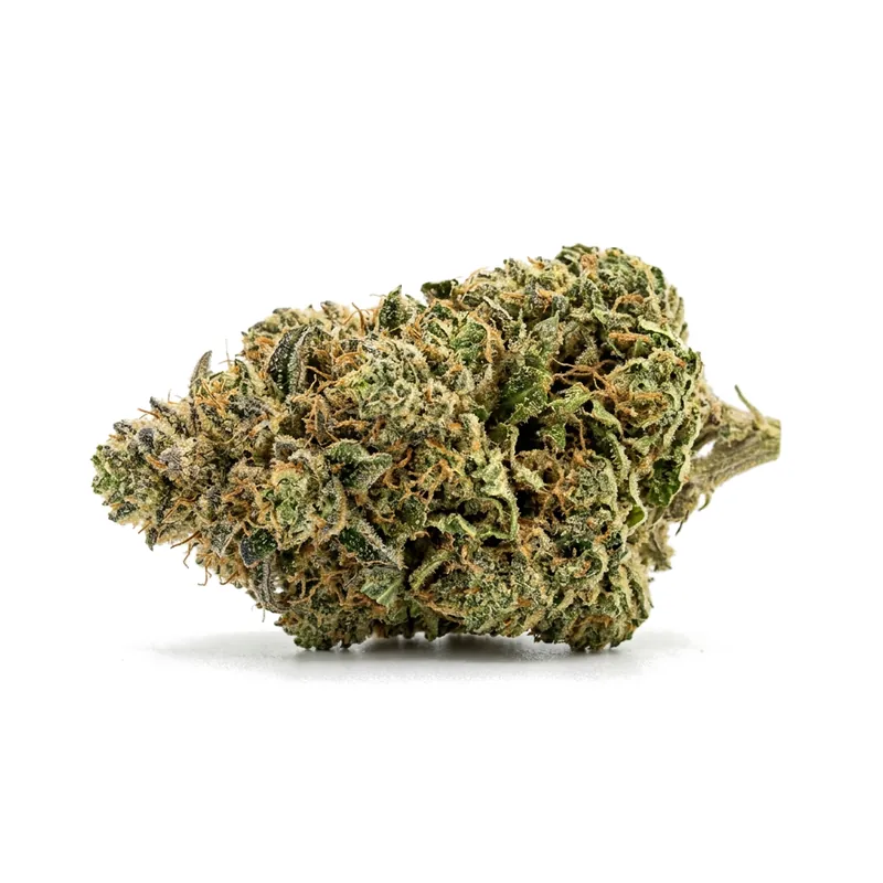 Canify Cannabis flos 18/1 CO Ku. MAC
