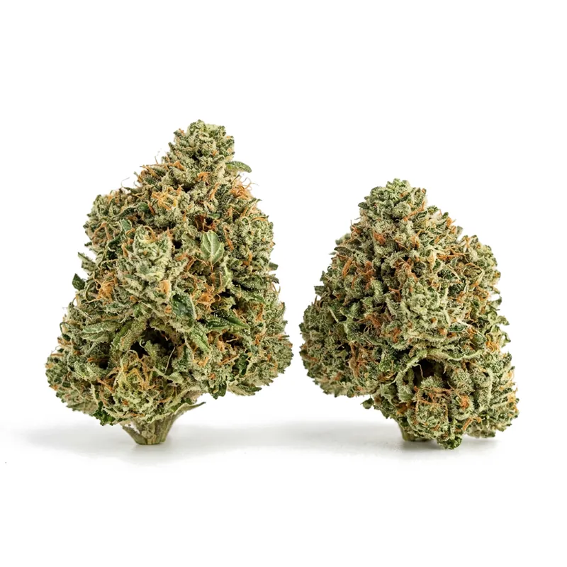Enua 25/1 FHL CA Frozen Lemon Haze