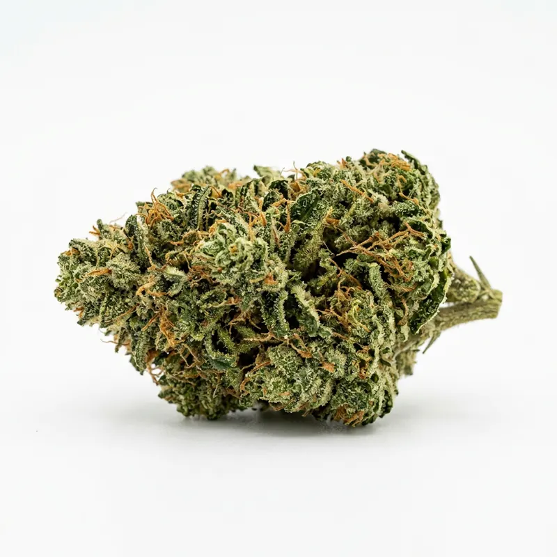 HiDealz 27/1 MS Honeydew Haze Smalls