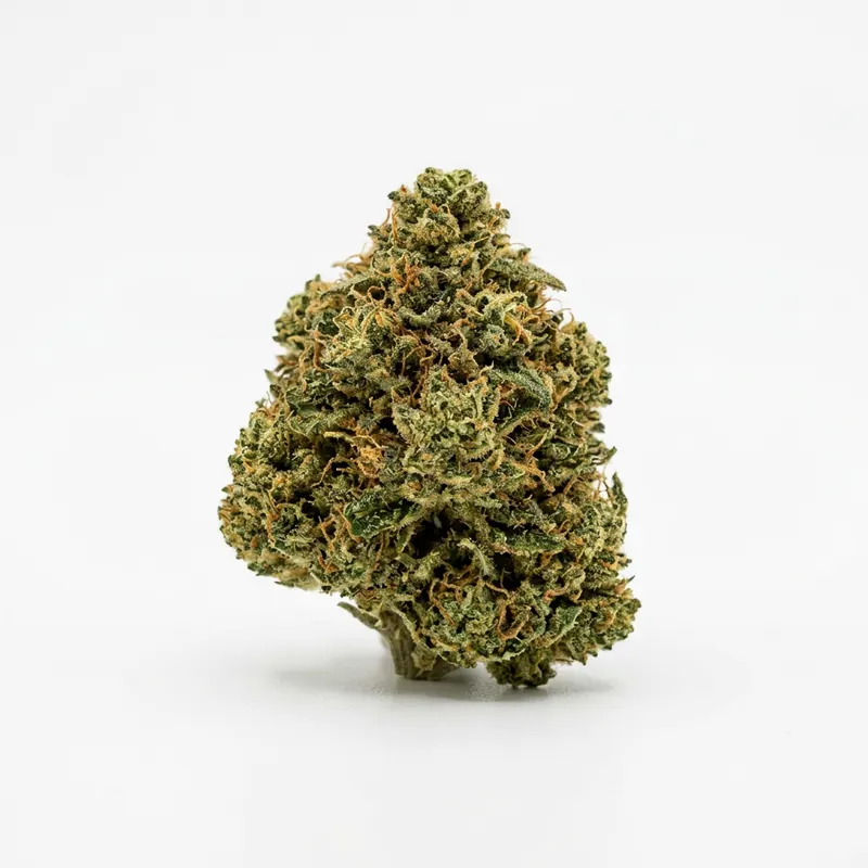 avaay Signature 26/1 BYY Blueberry Yum Yum