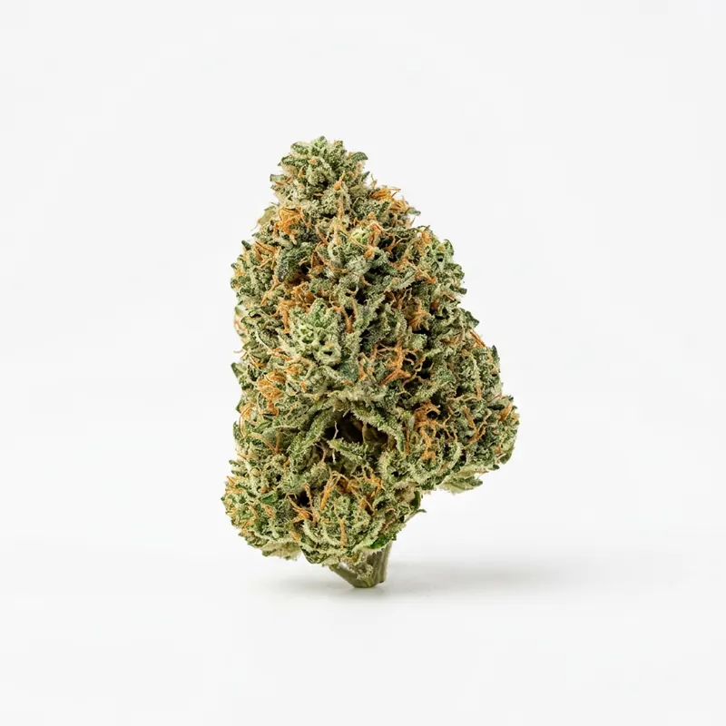 Frosted Platin Girl