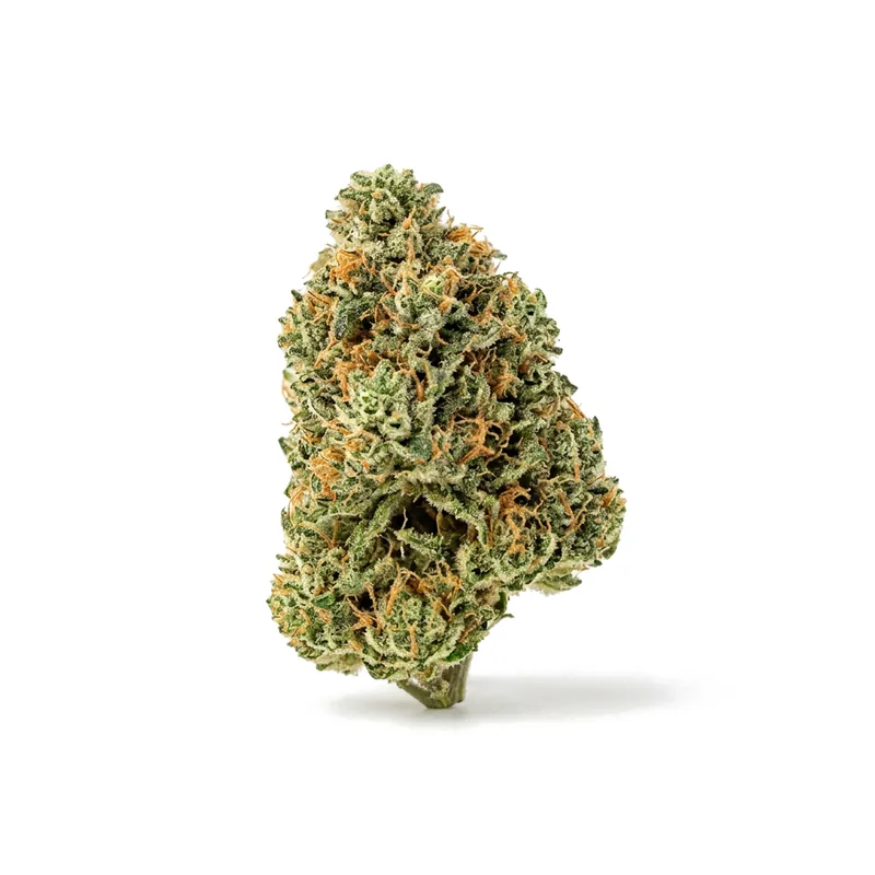 Canify Cannabis flos 18/1 CO Ku. MAC