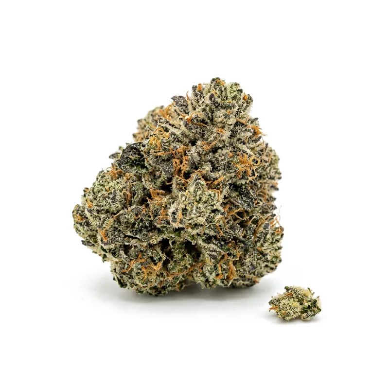 TETRA THC22 Sugar Cake