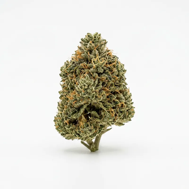 Fire Gold 33/1 SMC Strawberry MAC