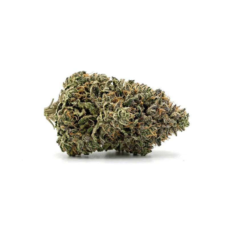 Canify Cannabis flos 18/1 CO Ku. MAC