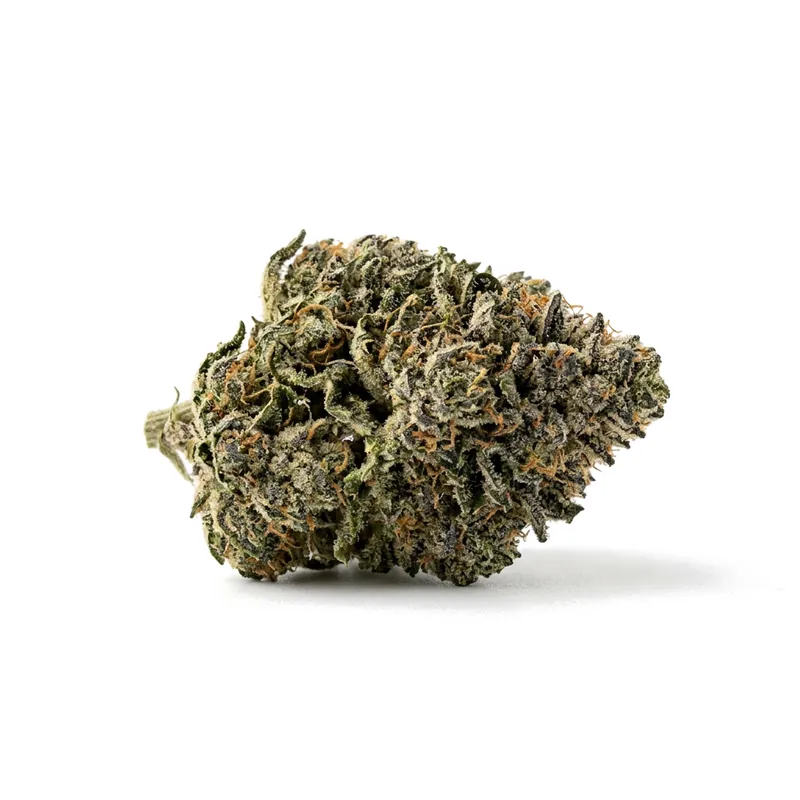 Enua 25/1 FHL CA Frozen Lemon Haze