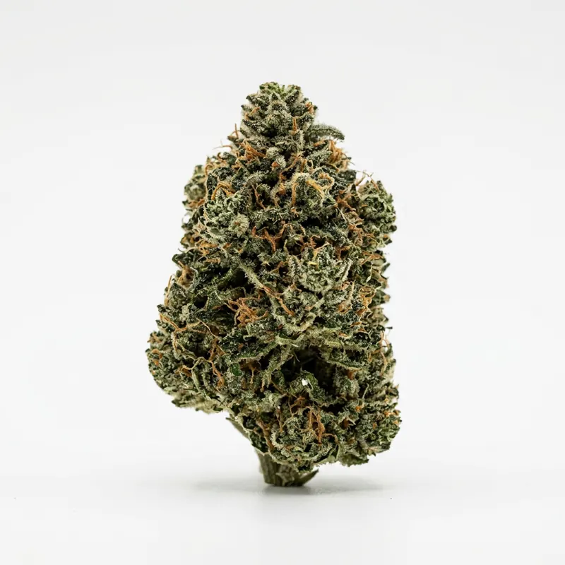 Sibanax GMO Zkittlez 28/1
