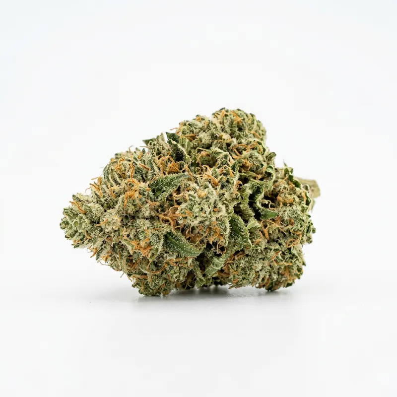 Casper´s No. 5 Blueberry Redbull 23/1