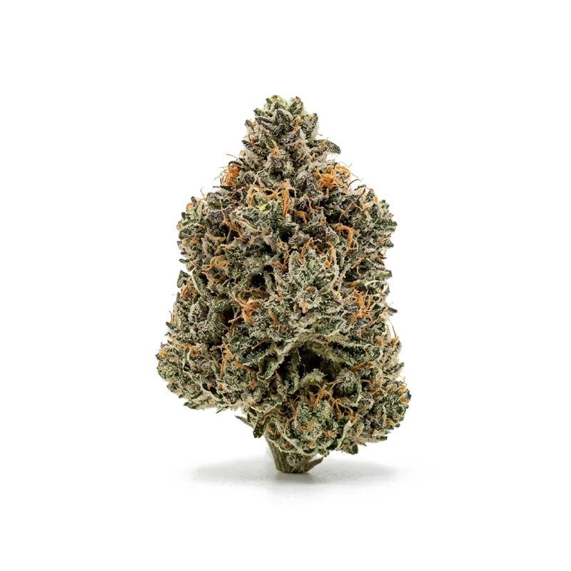 TETRA THC22 Pink Diesel