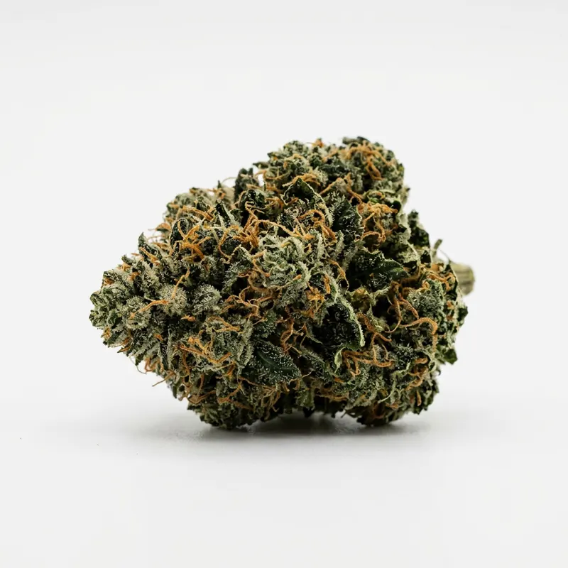 CRQSH GKY 30/1 Gas Monkey