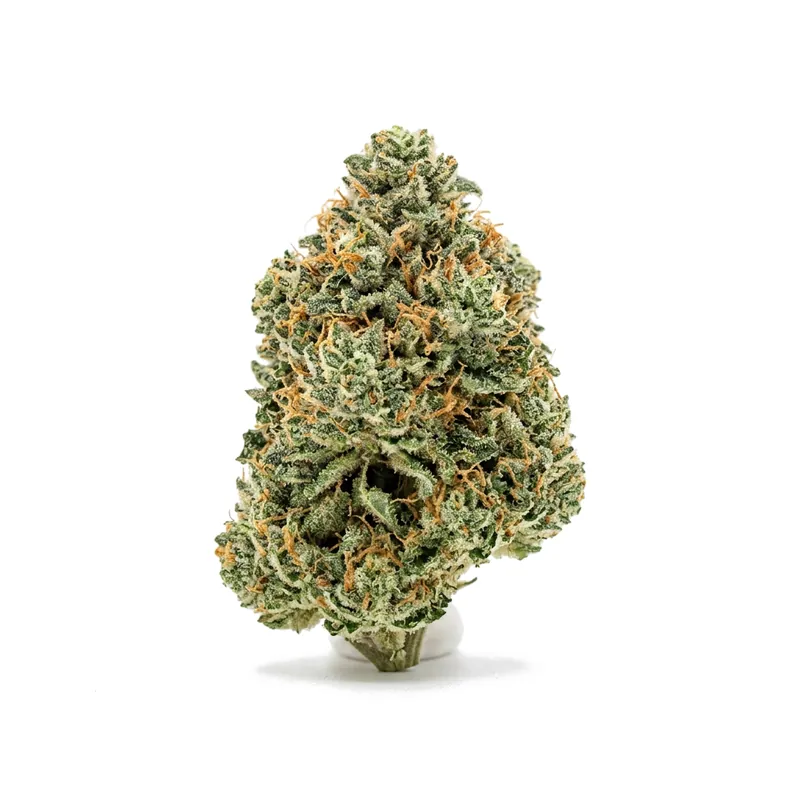 Canify Cannabis flos 18/1 CO Ku. MAC