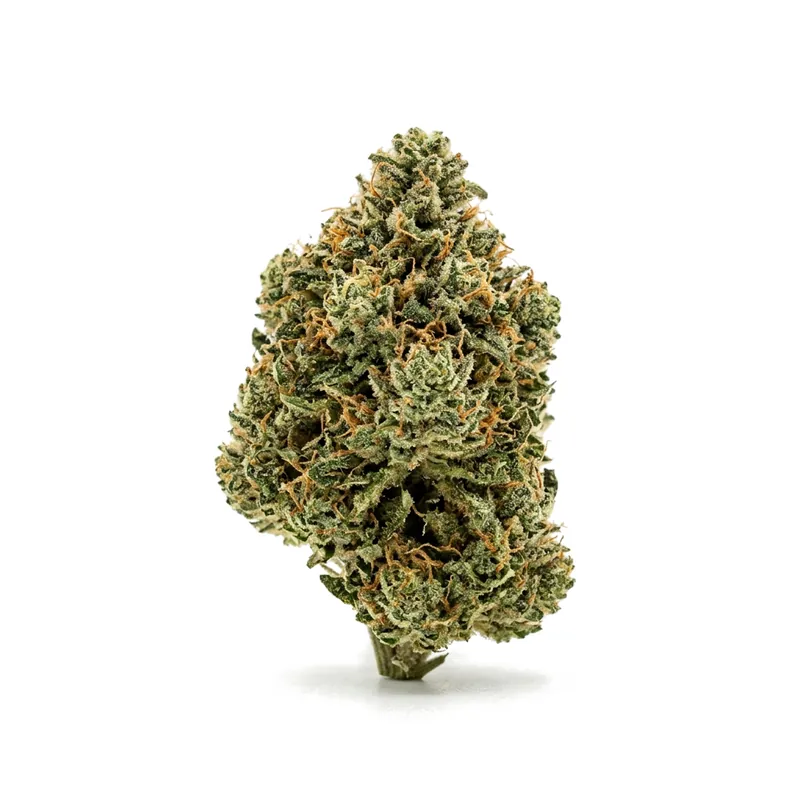Canify Cannabis flos 18/1 CO Ku. MAC