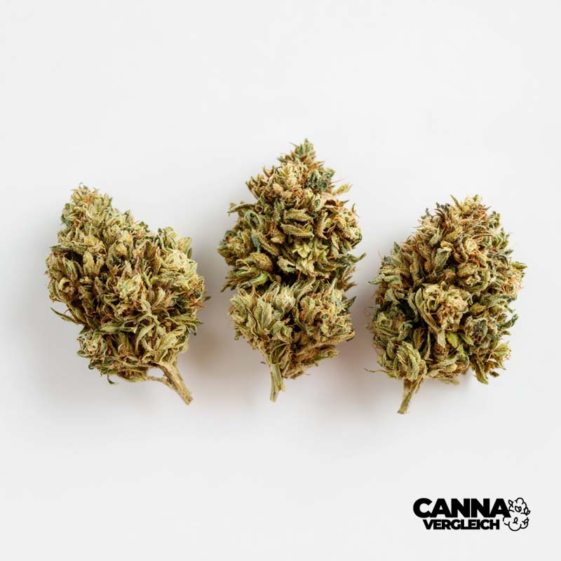 Demecan Indica - THC 27% - ab 5,25 EUR Cannabis Preisvergleich