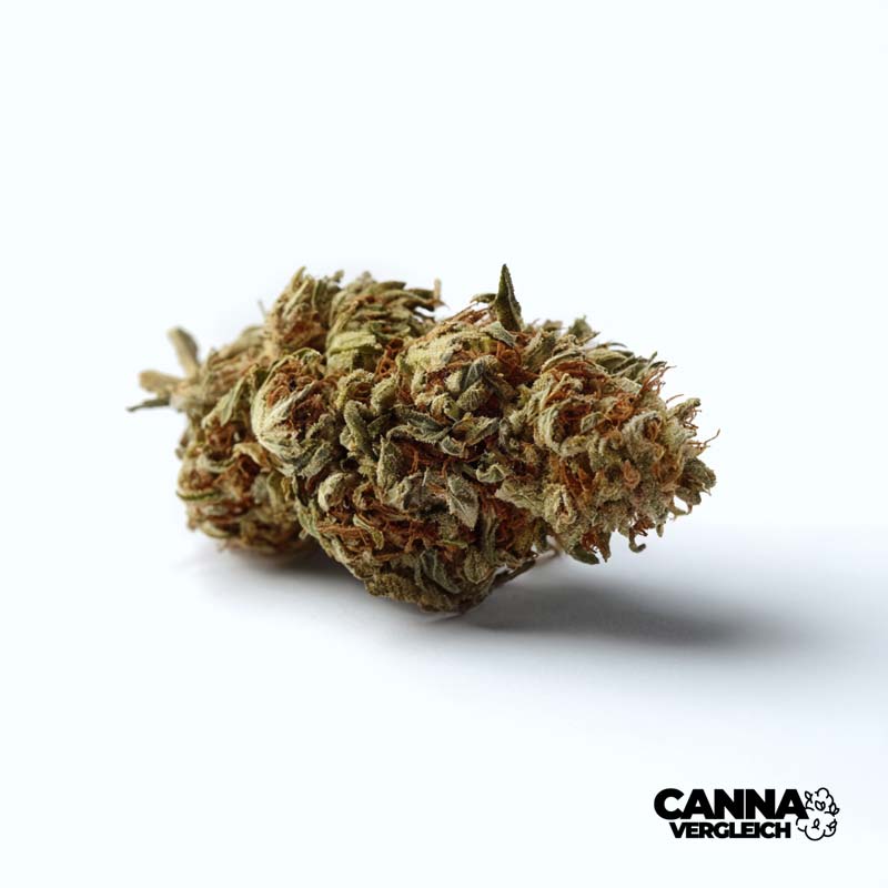Four 20 Pharma Sativa - THC 33% - ab 7,69 EUR Cannabis Preisvergleich