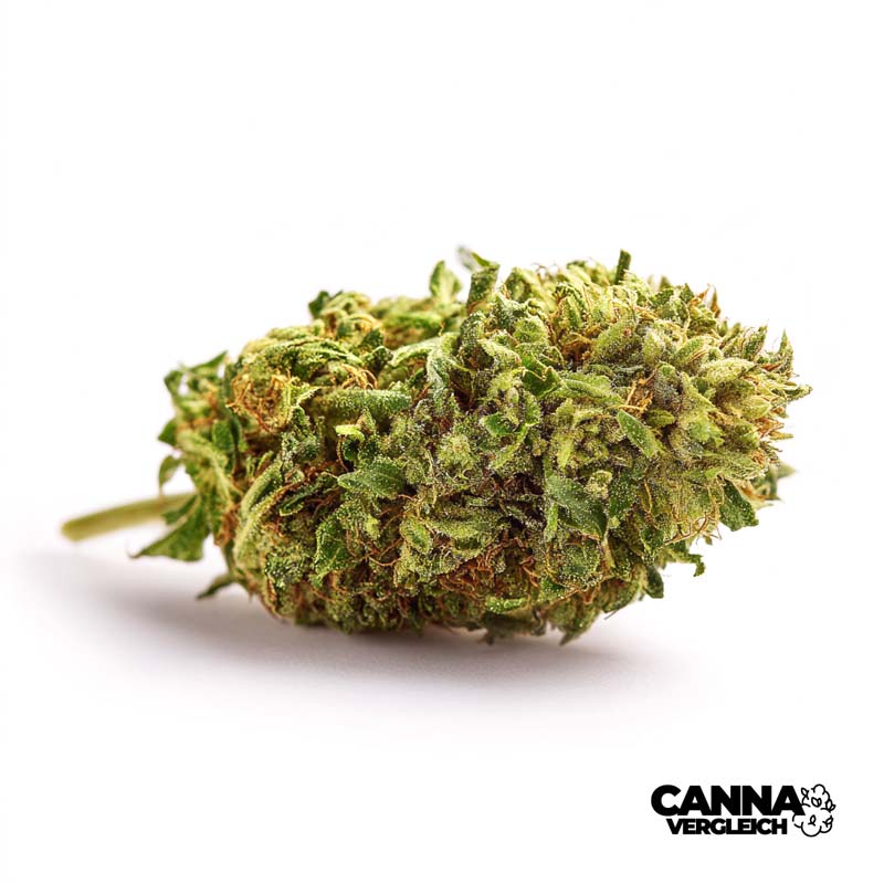 bavamedical Hybrid - THC 27% - ab 5,49 EUR Cannabis Preisvergleich